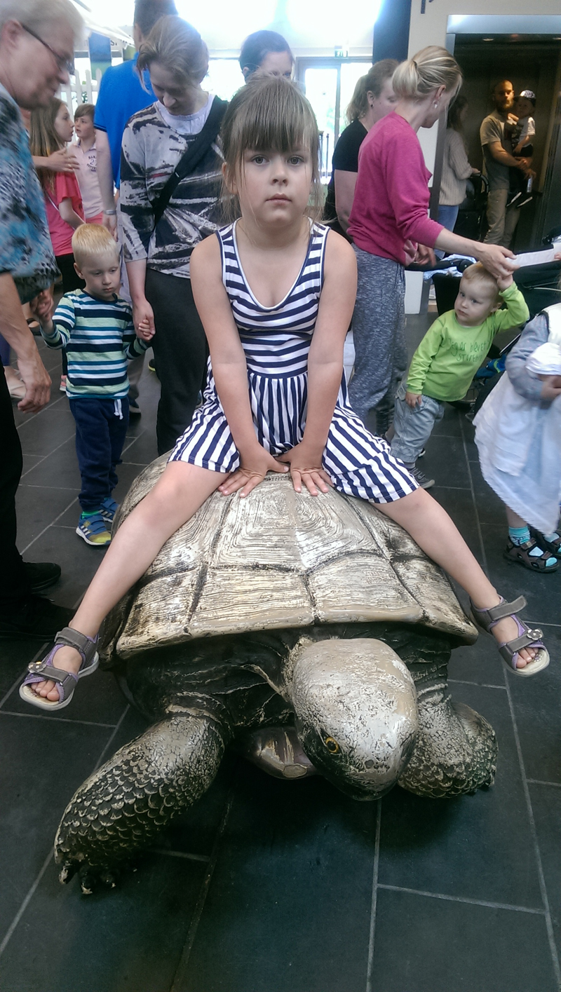 2015-07-13-033