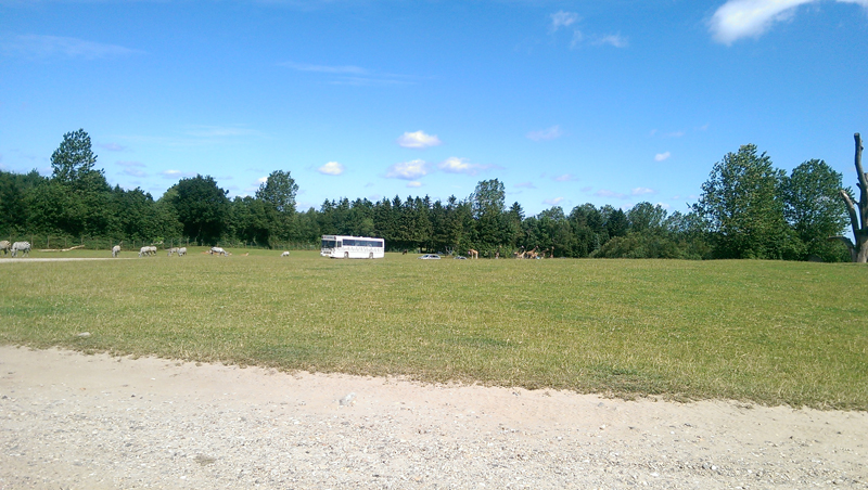 2015-07-15-065