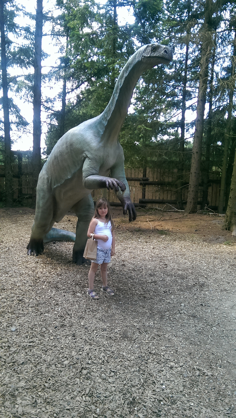 2015-07-15-077