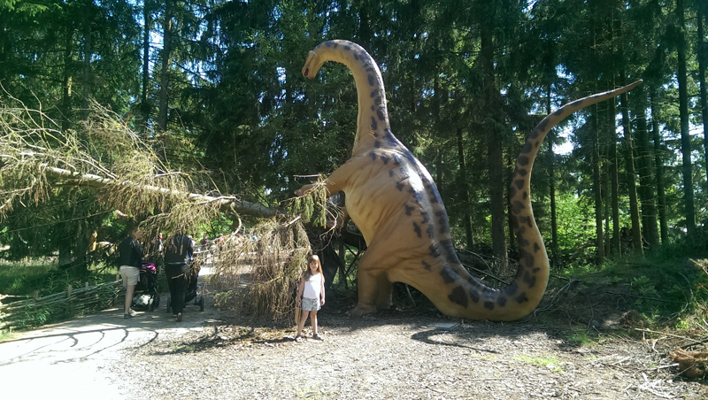 2015-07-15-080