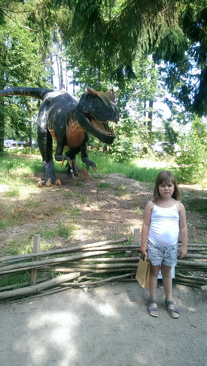 2015-07-15-084