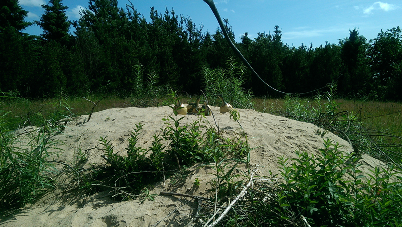 2015-07-15-090