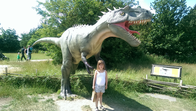 2015-07-15-097