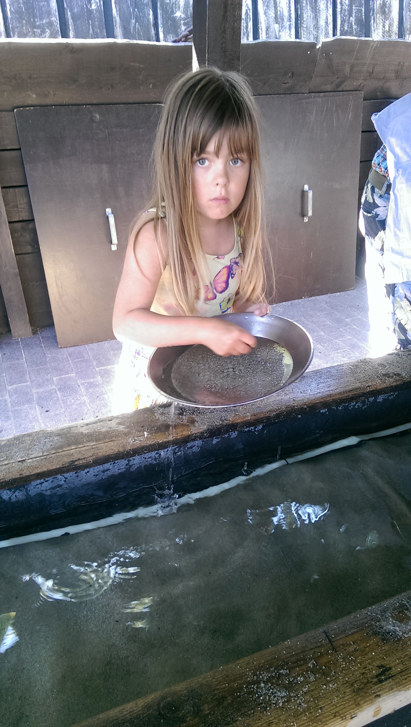 2015-07-16-131