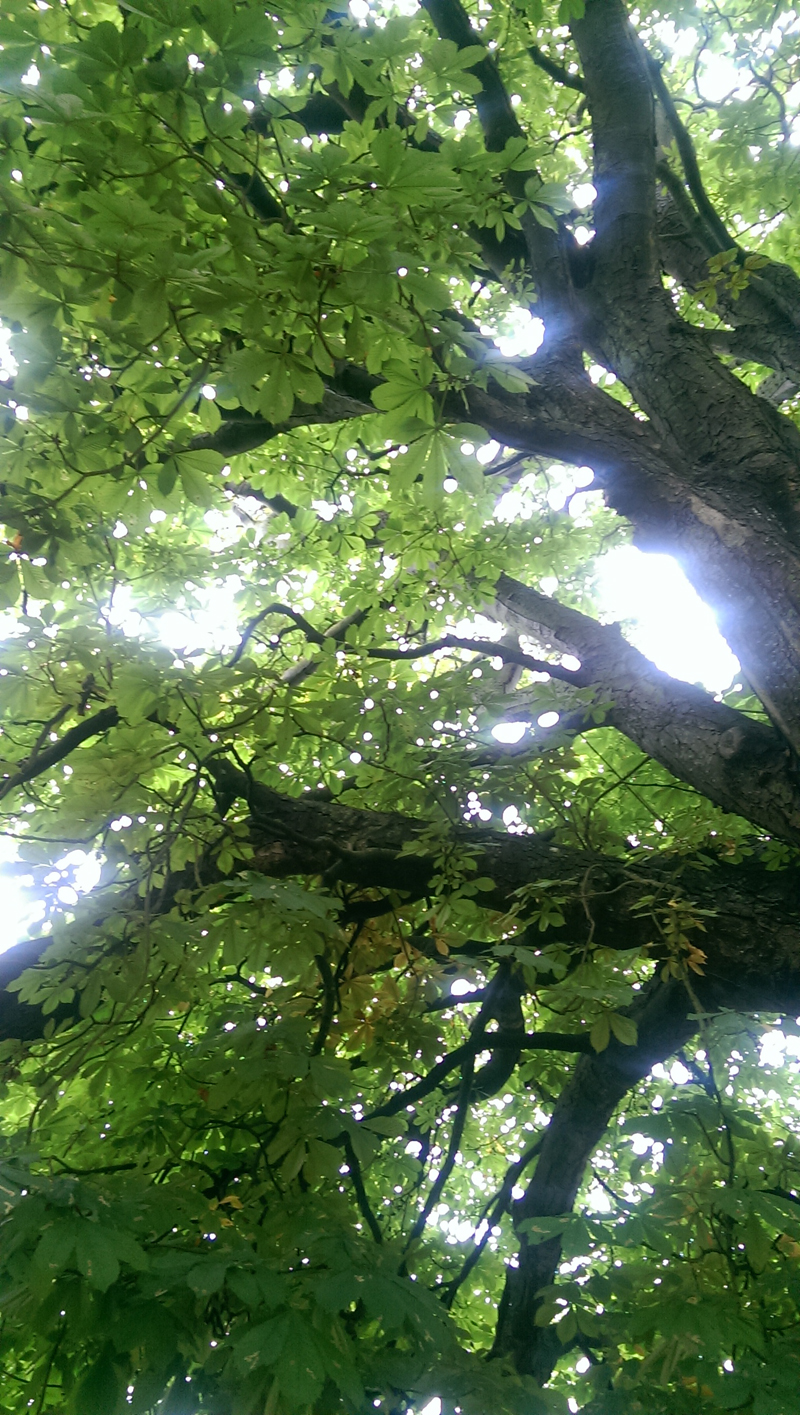 2015-07-25-213