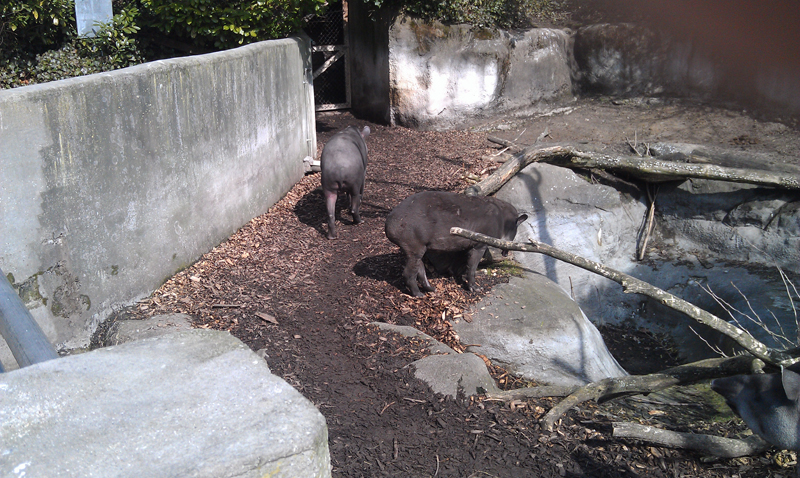 IMAG0774